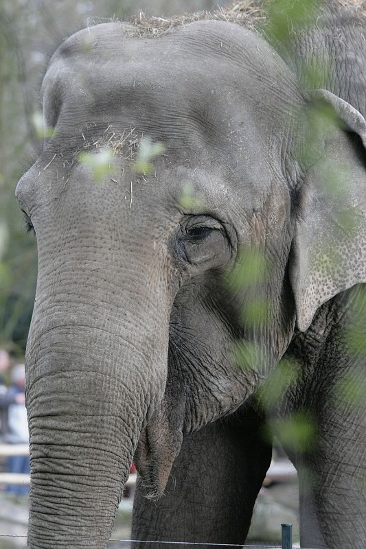 Fotoclubje Blijdorp 2008-33.jpg